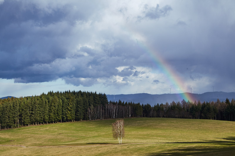 Dramatische Lichtstimmung im Schwarzwald III mit Regenbogen (Hofstetten)