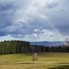 Dramatische Lichtstimmung im Schwarzwald III mit Regenbogen (Hofstetten)