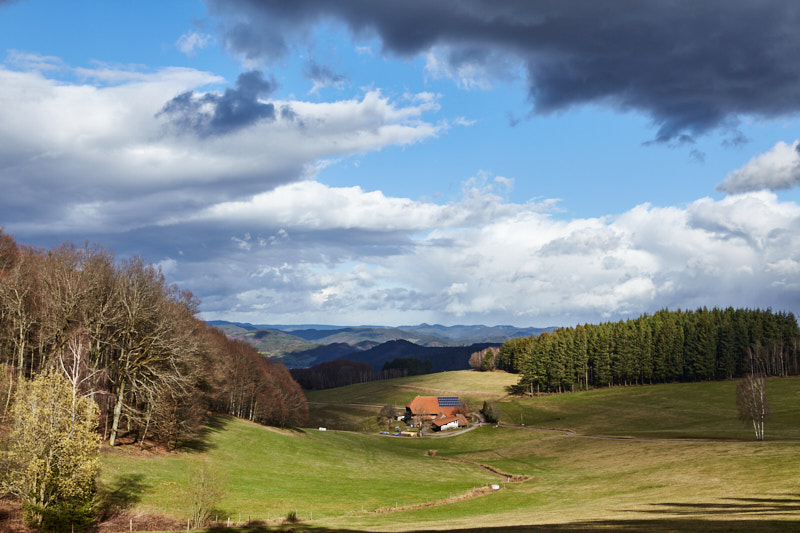 Dramatische Lichtstimmung im Schwarzwald IV (Hofstetten)