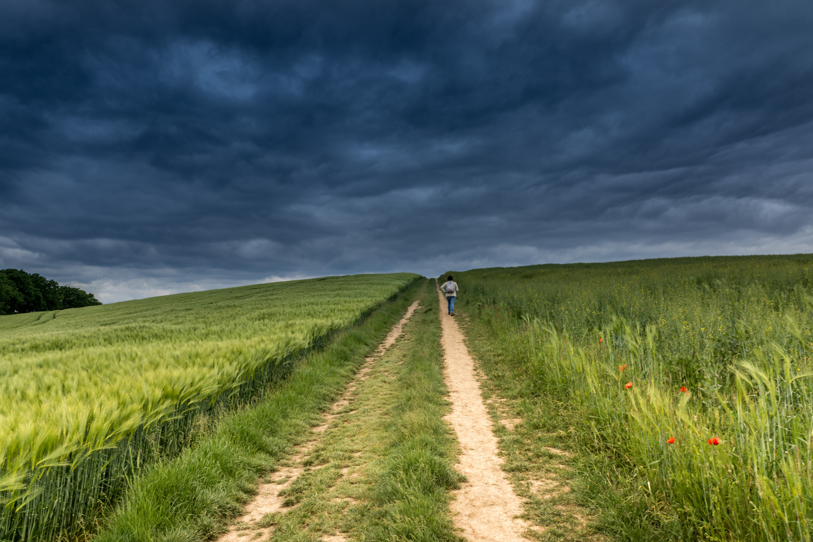 Dramatische Stimmung (Gewitter 26.05.2015)