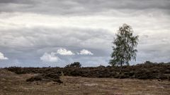 *** Dramatische Wolken ***