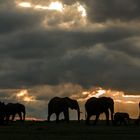 Dramatischer Himmel in der Mara