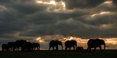 Dramatischer Himmel in der Mara