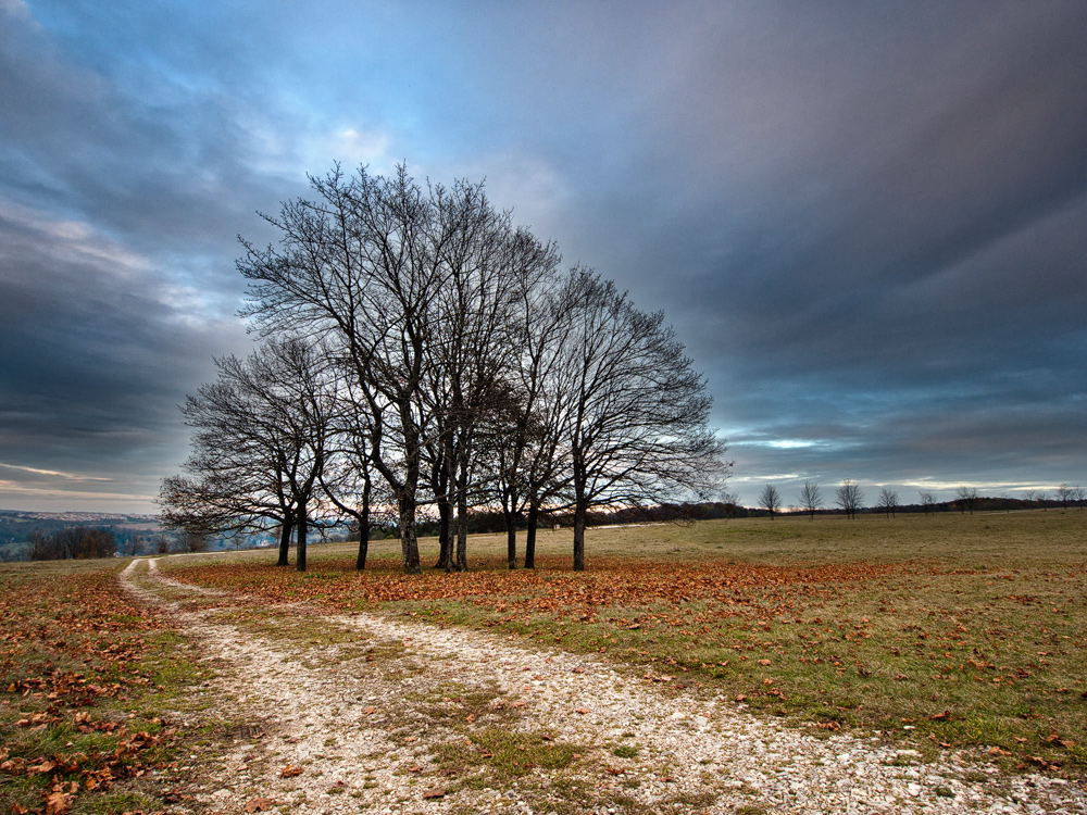 Dramatischer Novemberabend...