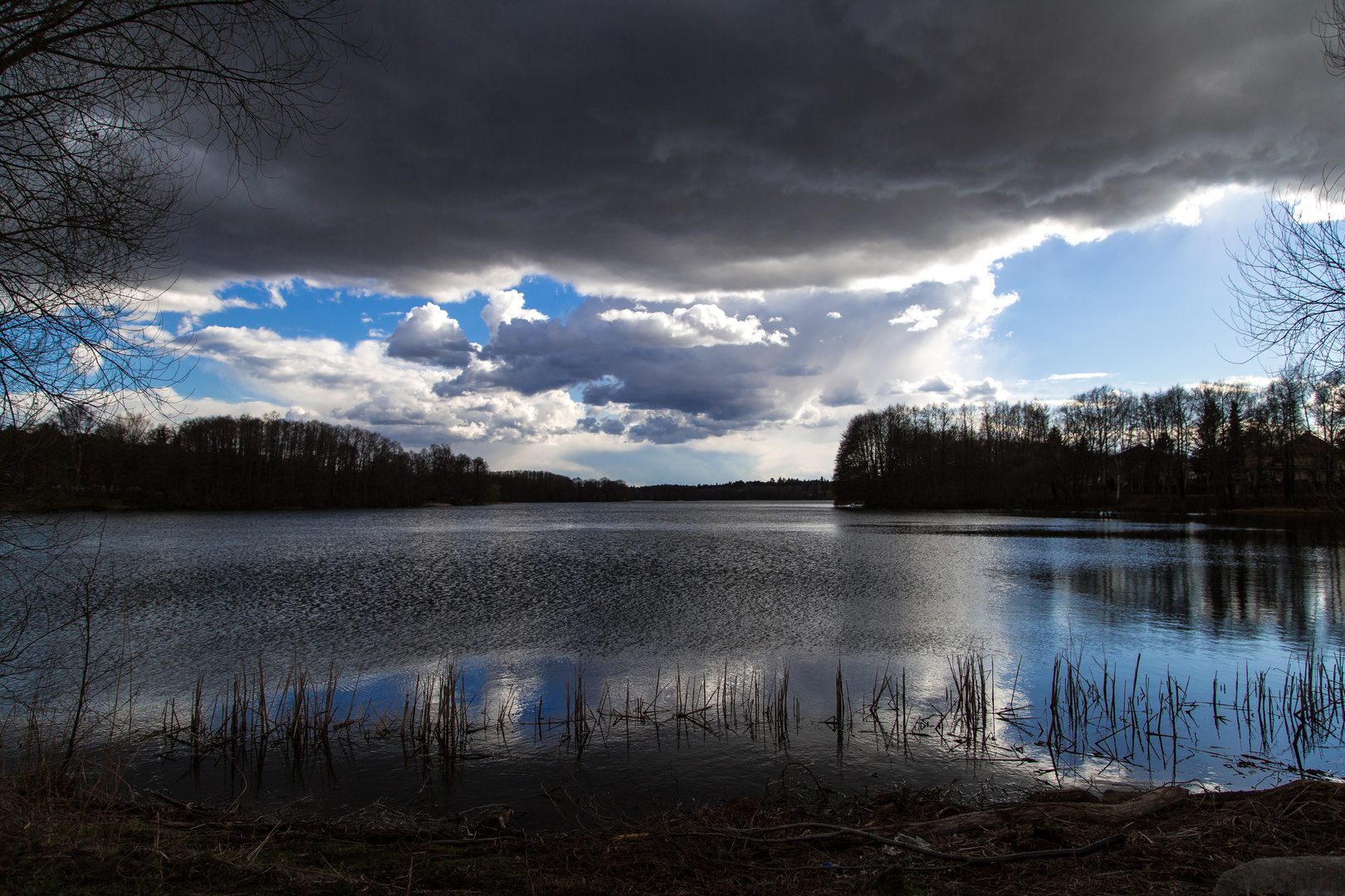 Dramaturgie der Natur