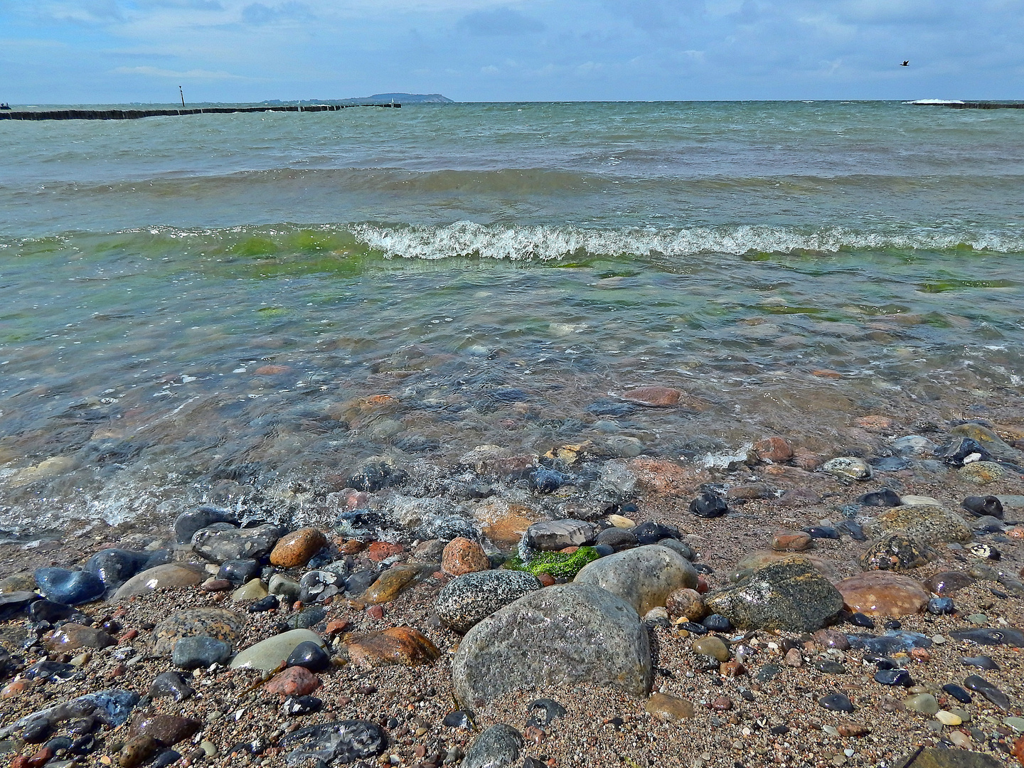 Dranske / Rügen