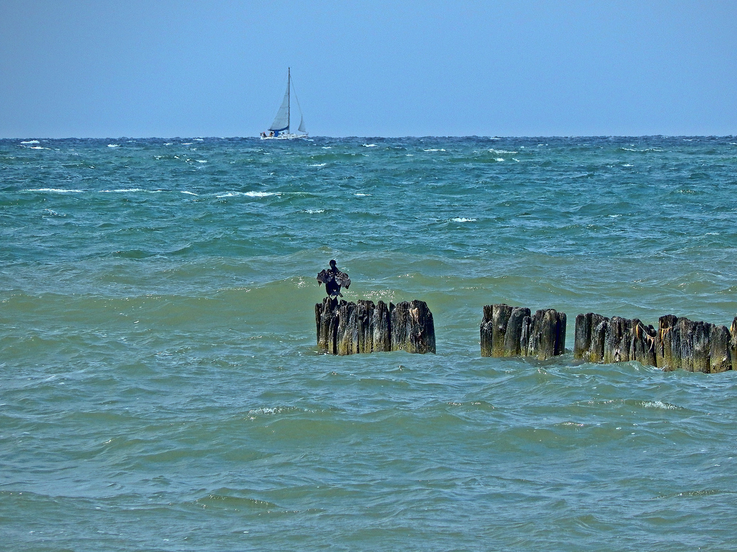 Dranske / Rügen