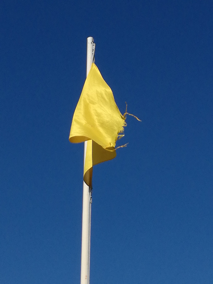 Drapeau jaune !