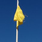 Drapeau jaune !