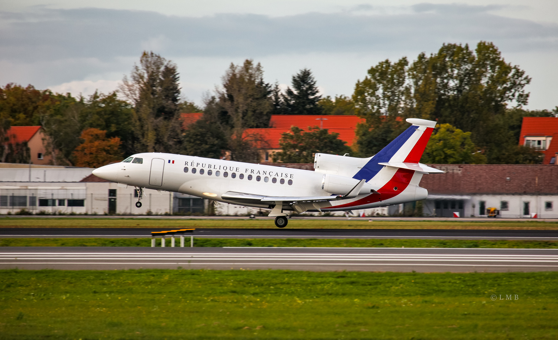 Drapeau Tricolore Falcon