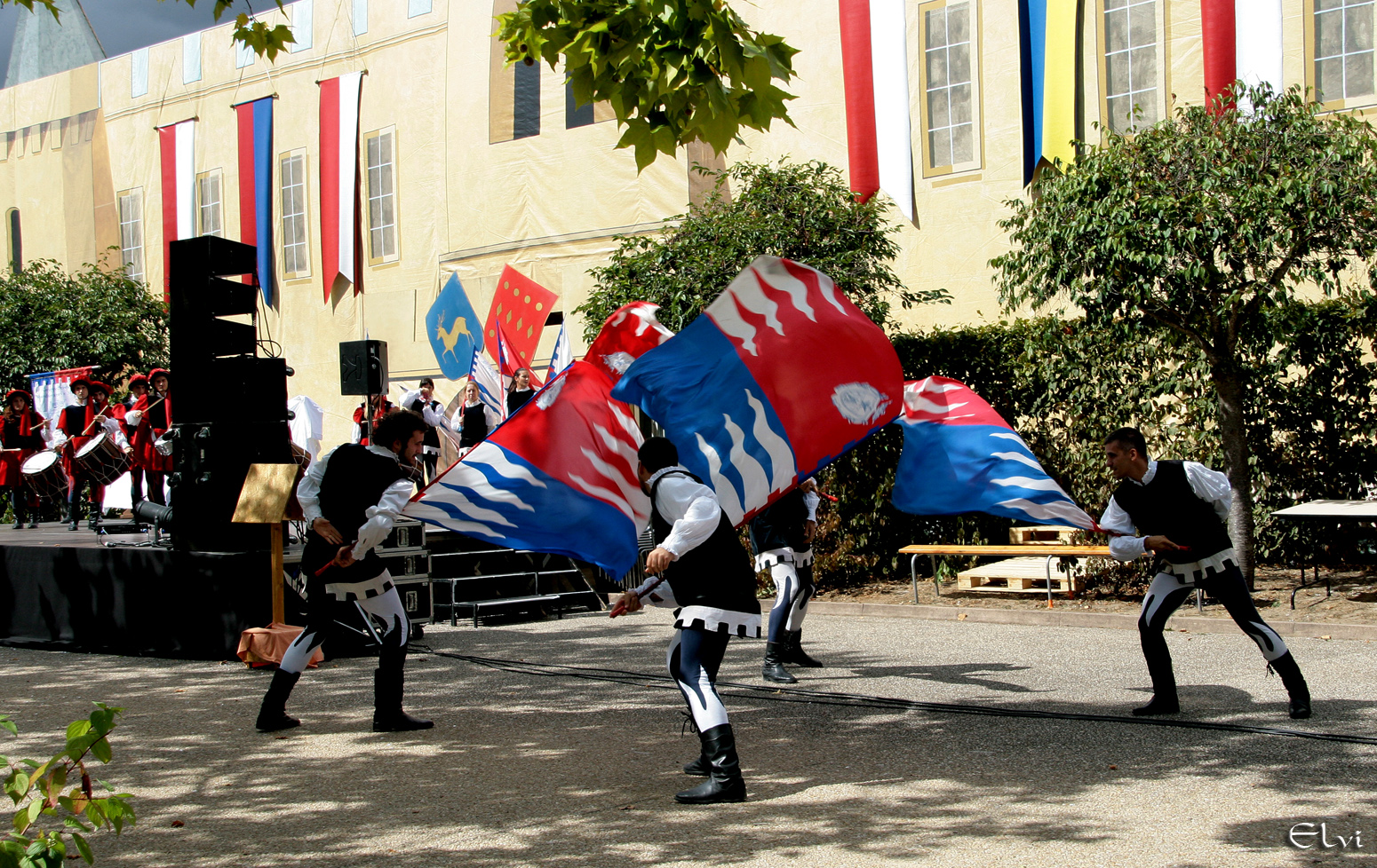 Drapeaux