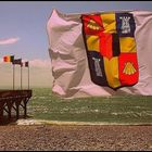 Drapeaux au vent sur la plage