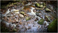 Draufblick