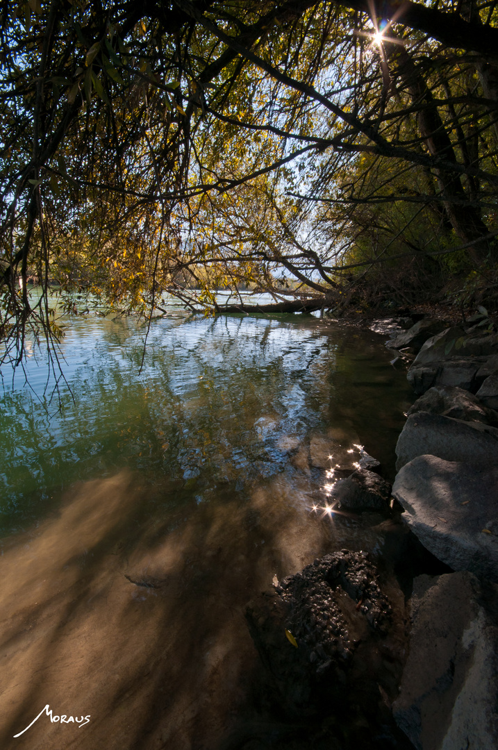 Drauherbst