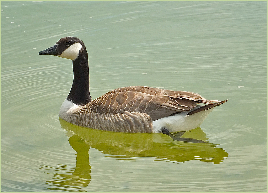 Draussen am Rotter See * 1