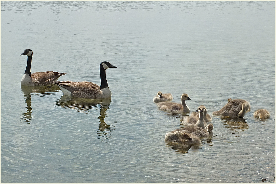 Draussen am Rotter See * 6