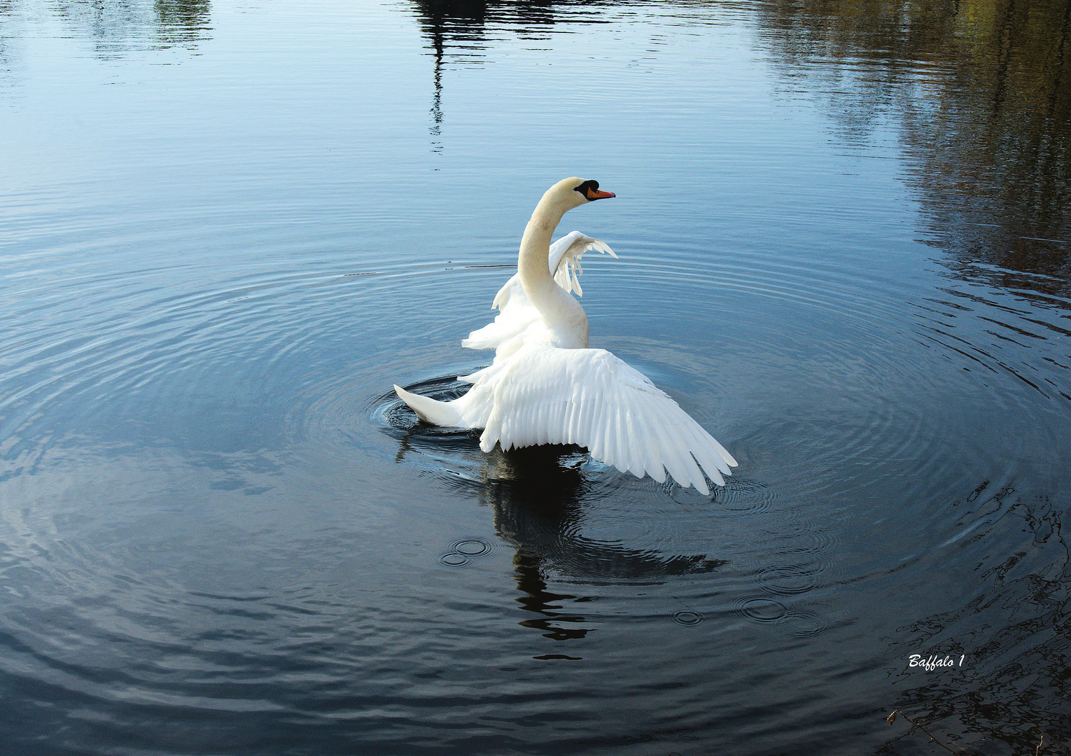 Draussen am Weiher