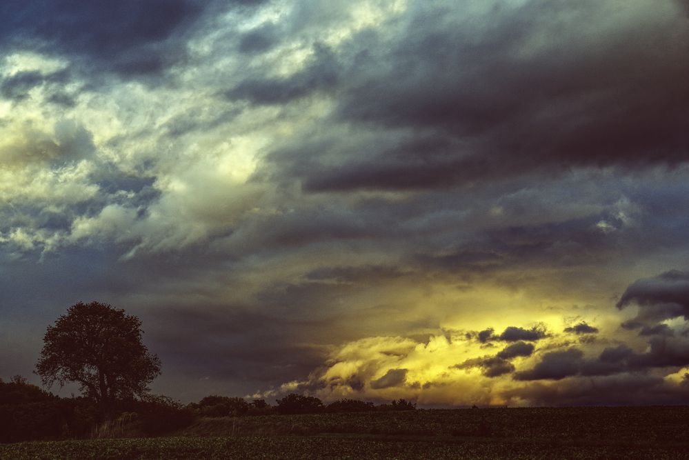 draußen auf Feld und Flur