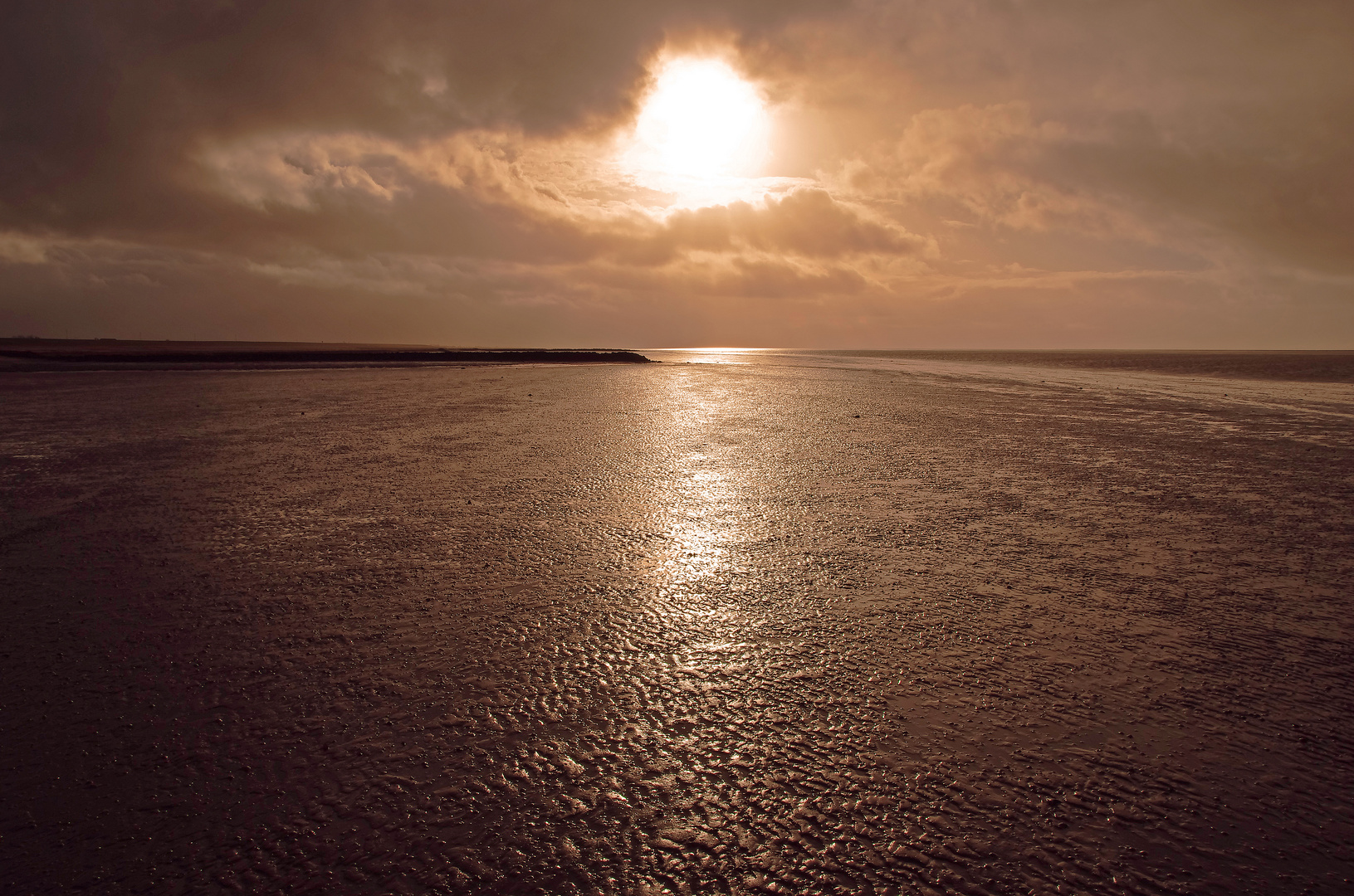 Draußen bei Ebbe im Wattenmeer