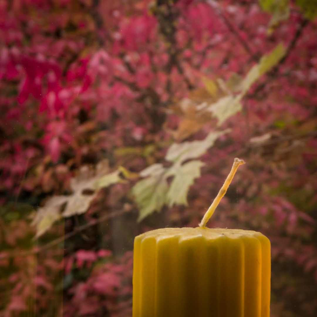 draußen der Herbst