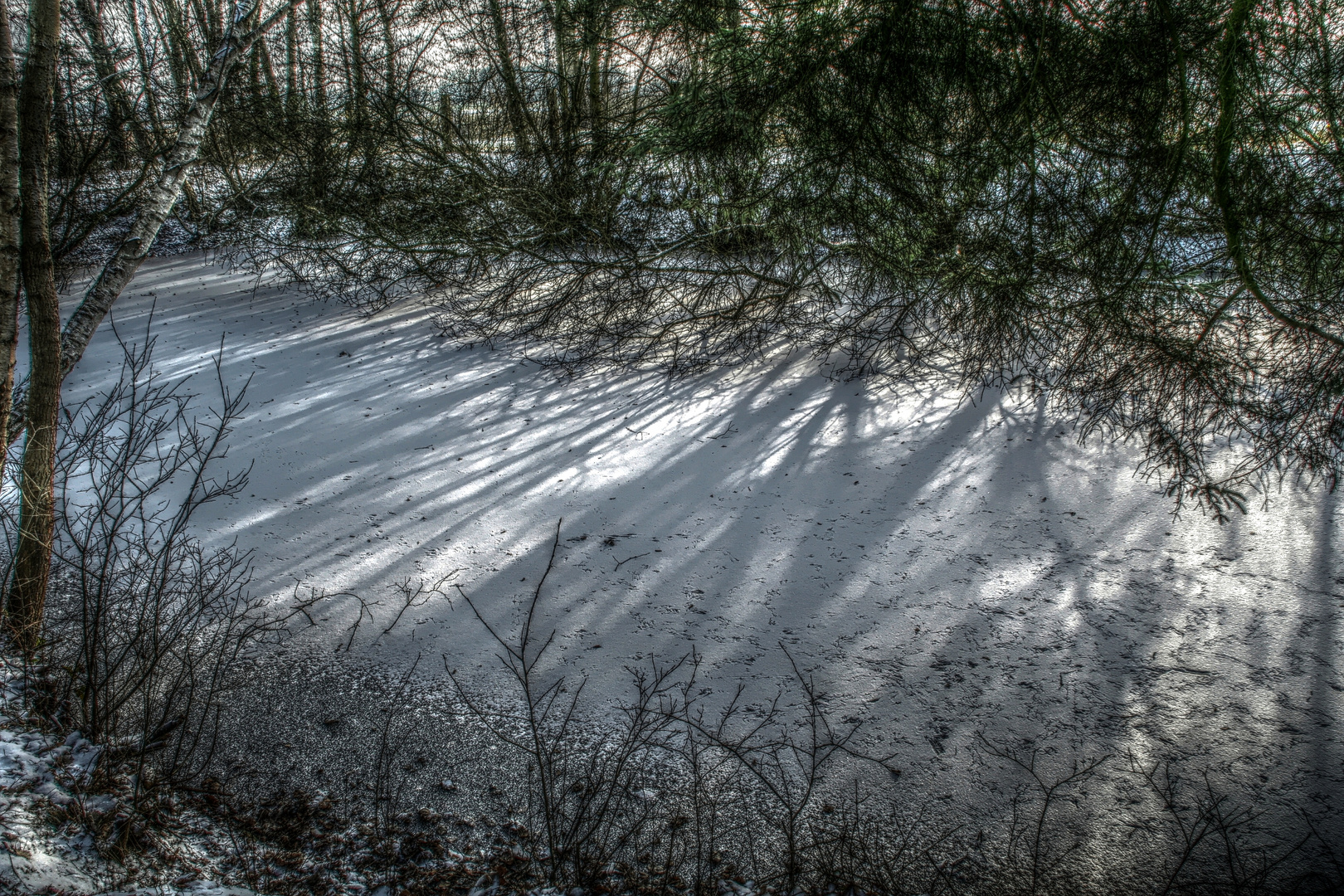 ...draußen geht der Frost mit schwerem Schritt vorbei