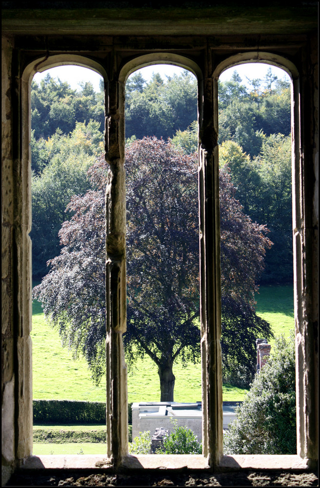 Draussen hinterm Fenster