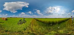 Draußen im Feld