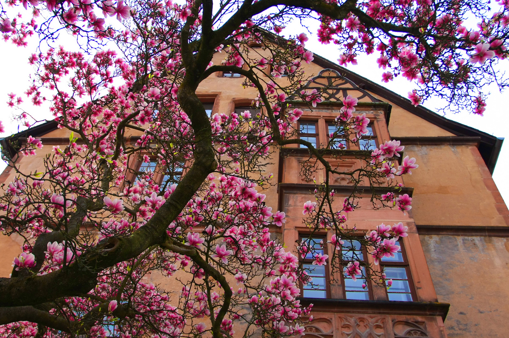 Draußen im Frühling