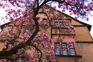 Draußen im Frühling von Markus Ralf Weber 