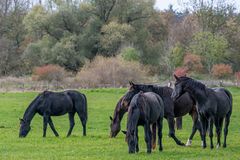 Draußen im Herbst