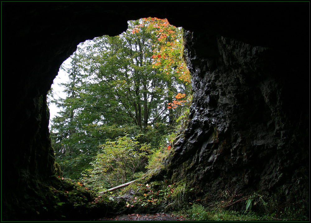 "Draußen im Herbst" oder "Ein Blick zum Licht"