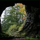 "Draußen im Herbst" oder "Ein Blick zum Licht"