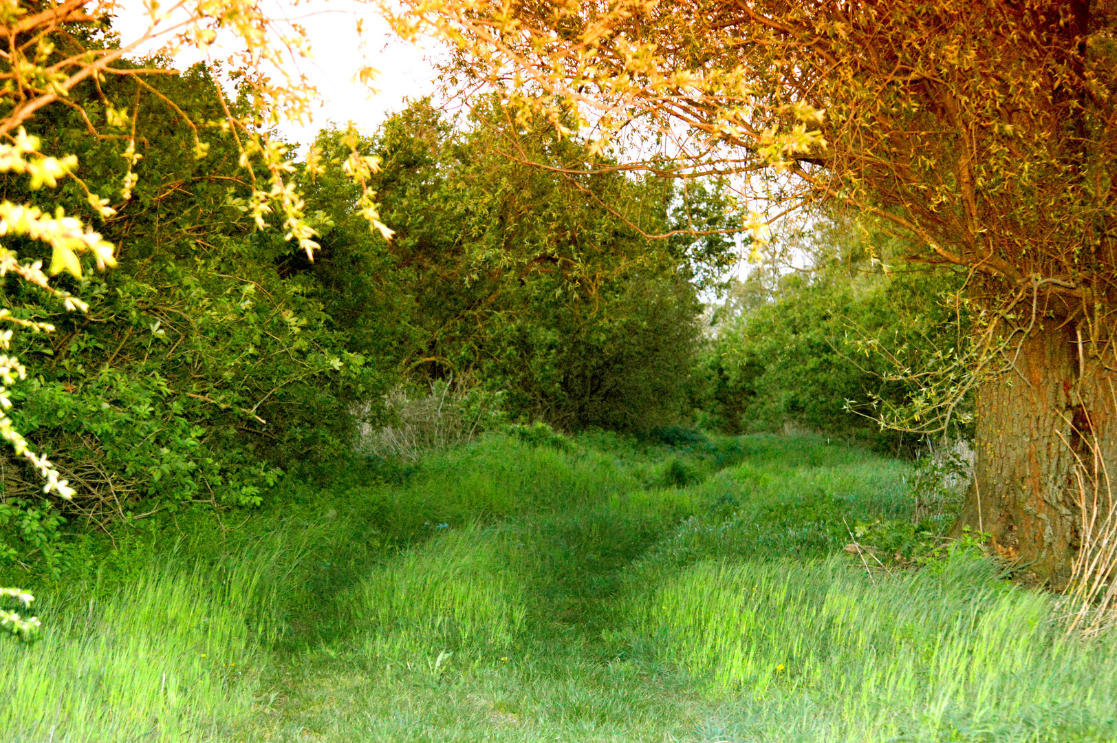 Draußen in der Natur