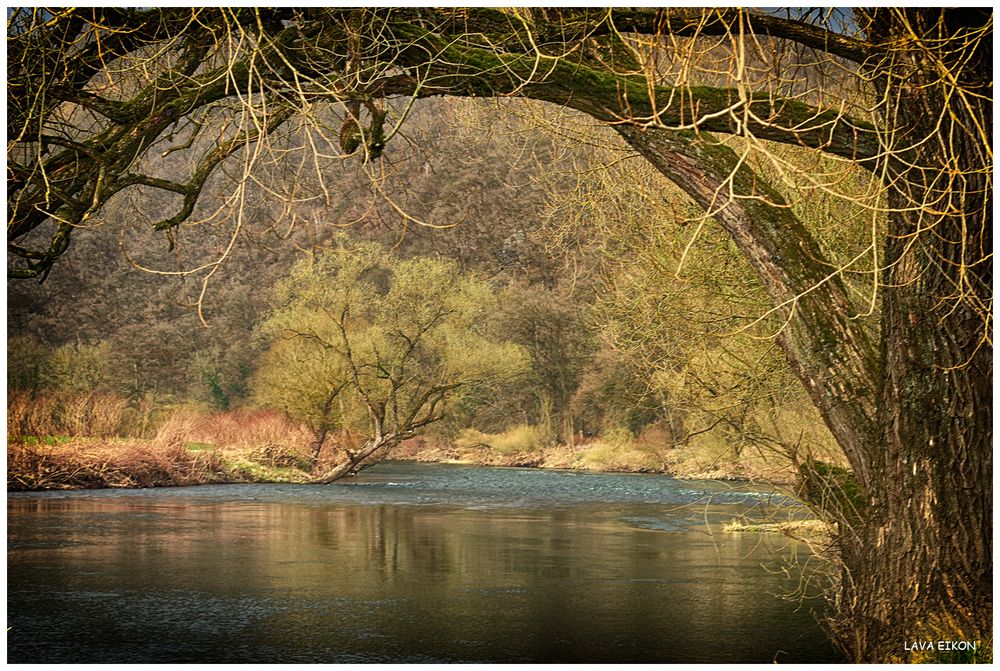 Draußen in der Natur ...