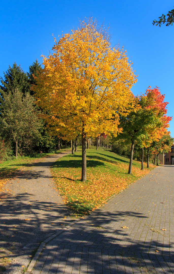 Draussen ist mal wieder Herbst