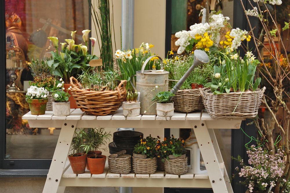 Draußen vor den Blumenläden....