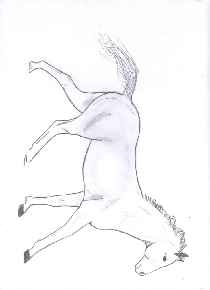 Drawn horse. COPYRIGHT! DO NOT COPY!