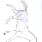 Drawn horse. COPYRIGHT! DO NOT COPY!