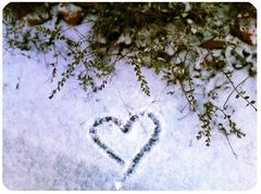 drawn in snow