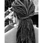 Dreadlocks II.