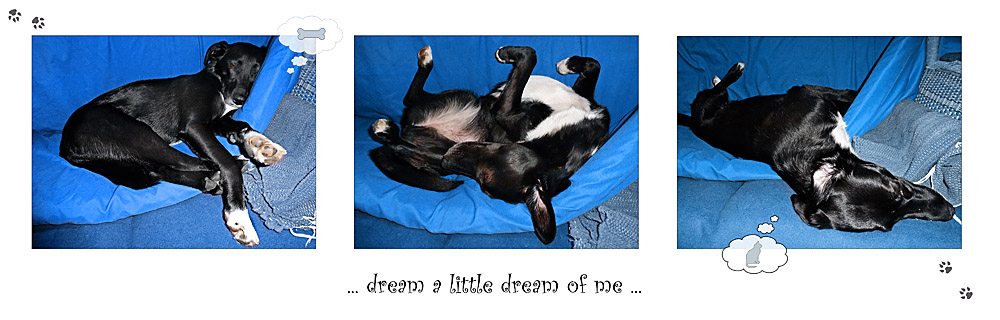 .. dream a little dream ...
