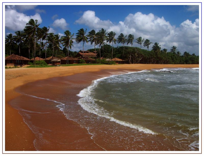 Dream Beach(SriLanka)