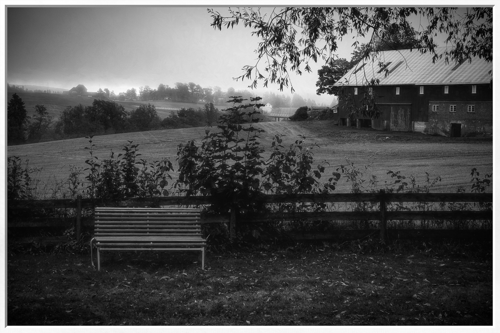 Dream Bench I by Tony