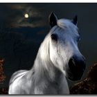 dream horse in the moon