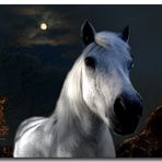 dream horse in the moon