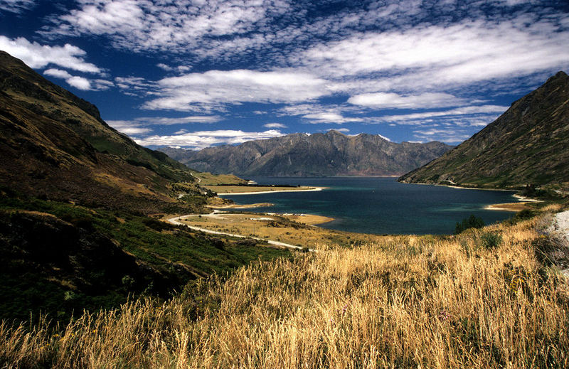Dream Land in NZ