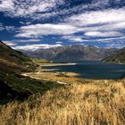 Dream Land in NZ