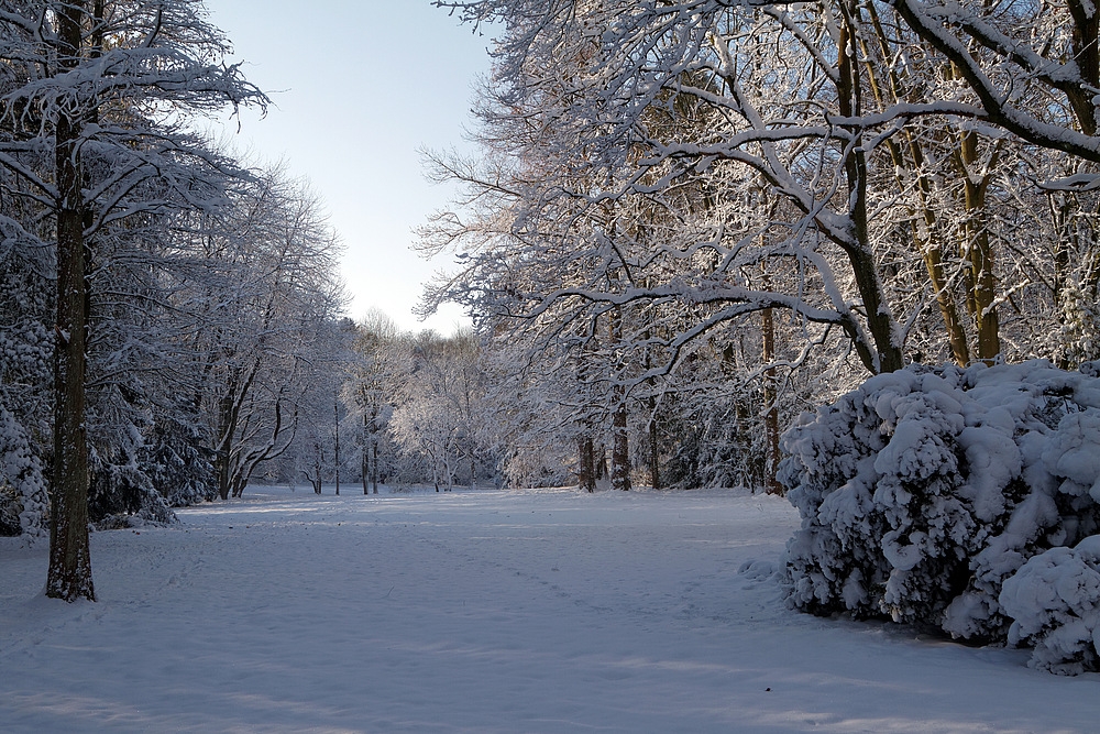 Dream of a white Chrismas