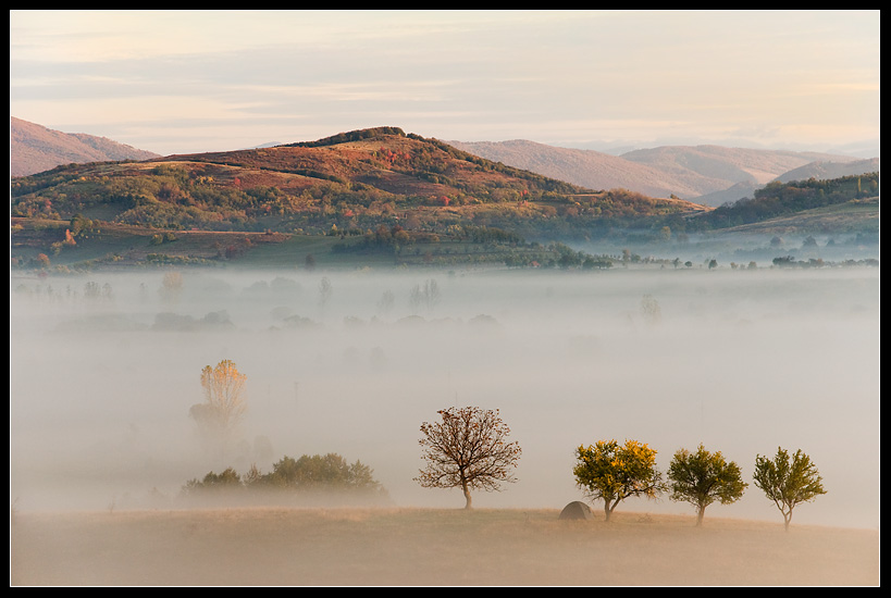 Dream of autumn morning