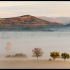 Dream of autumn morning